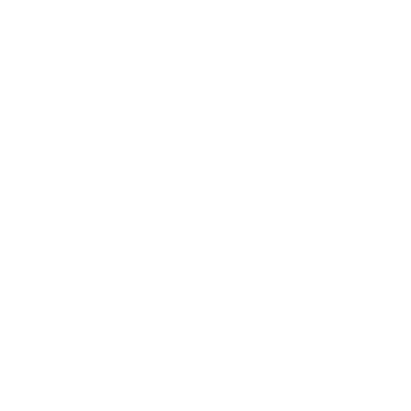 BPC Icon White
