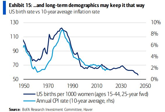 US birth rate