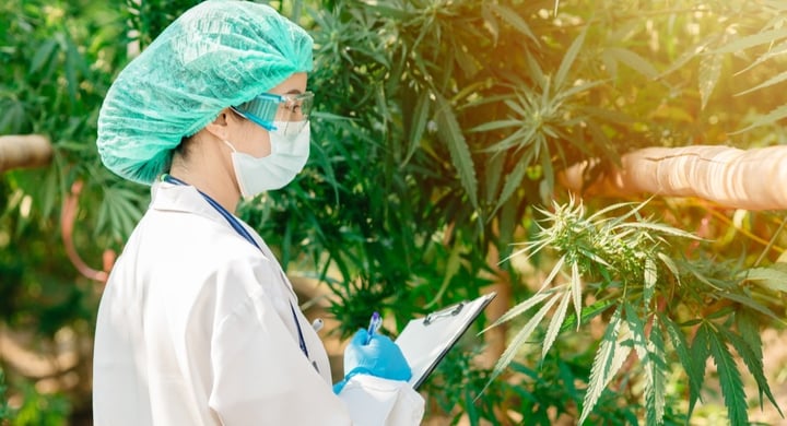 The most common conditions treated by medicinal CBD