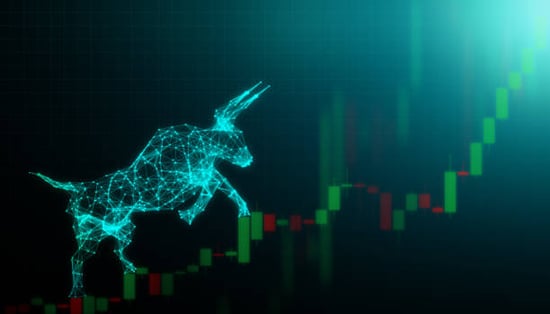 bull-market
