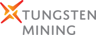 tingsten mining logo