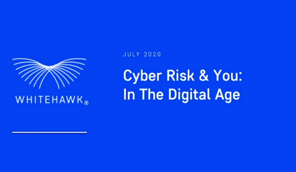 Terry Roberts, CEO of Whitehawk, discusses cyber security